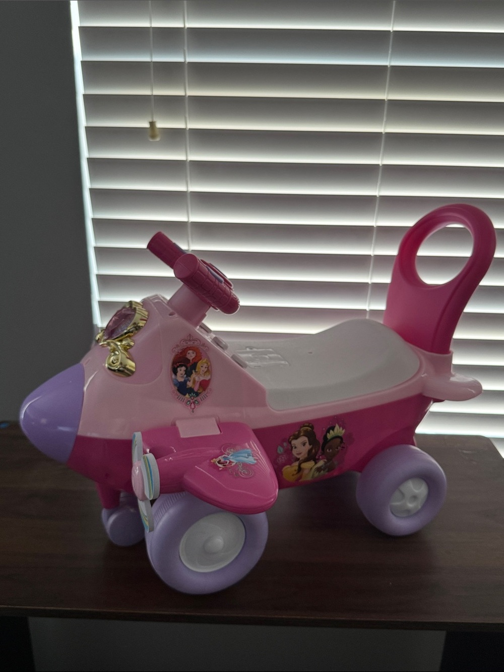 Disney Pink and Purple Princess Push Ride-On Vehicle